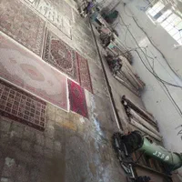 قالیشویی محمد|خدمات نظافت|گلبهار, |دیوار