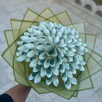دسته گل پروانه ای و دیزاین پول تولد شاباش|گل مصنوعی|مشهد, فرهنگیان (شهرک غرب)|دیوار