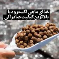 غذای ماهی قزل آلا، کپور، خاویاری در هر حجمی