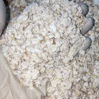 جو دوسر پرک آلمانی بصورت جزئی و کلی   اوتمیل|عمده‌فروشی|مشهد, موسوی قوچانی|دیوار