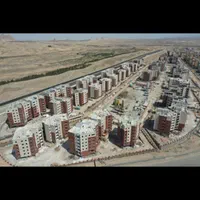 فیش مسکن