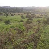 زمین ۳۰۰ متر سند دار . سیاهکل.  سنگر . خرارود|فروش زمین و ملک کلنگی|رشت, آب آسیاب|دیوار