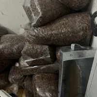 کشمش افتابی تاکستان|خوردنی و آشامیدنی|تاکستان, |دیوار