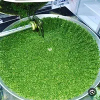 سبزی خرد شده و آماده|خوردنی و آشامیدنی|مشهد, طلاب|دیوار
