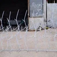 تولید انبوه  فروش و نصب حفاظ گوزنی و بوته ای|مصالح و تجهیزات ساختمان|بندرعباس, |دیوار