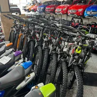 دوچرخه تایوانی کودک و بزرگسال