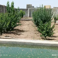 فروش باغ با ساختمان 60 متری نیمه در درچه|فروش خانه و ویلا|اصفهان, شفق|دیوار