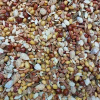آجیل،شکلات،گز|خوردنی و آشامیدنی|اصفهان, پوریای ولی|دیوار