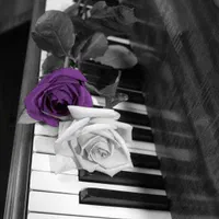 آموزش حضوری و آنلاین پیانو