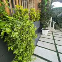 باغ ویلا با استخر ابگرم|اجارهٔ کوتاه‌مدت ویلا و باغ|صدرا-فارس, باغشهر بهارستان صدرا|دیوار