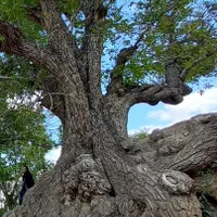 اجاره سوئیت در روستای هونجان|اجارهٔ کوتاه‌مدت آپارتمان و سوئیت|شهرضا, |دیوار