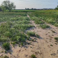 فروش زمین ۱۱۰۰ متری در خین عرب روستای بهار|فروش زمین و ملک کلنگی|مشهد, نوید (بلوار کشاورز)|دیوار