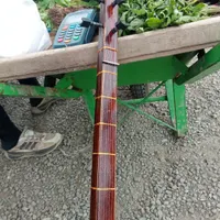 ساز|سازهای سنتی|مرند, |دیوار