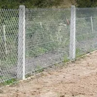 اجرای فنس کشی وسیم خاردار