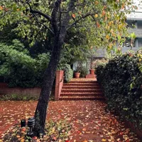 دستبند طلا گم کردم