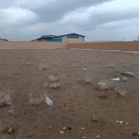 ۱۳۰۰ متر زمین سلولزی جنت آباد ایوانکی|فروش دفتر صنعتی، کشاورزی، تجاری|تهران, ازگل|دیوار