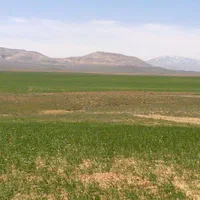 فروش ۴۰۰ هکتار زمین کشاورزی دیم/ اقساطی و معاوضه|فروش دفتر صنعتی، کشاورزی، تجاری|تهران, پاسداران|دیوار