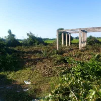 ۵۰۰ متر زمین مسکونی با پروانه