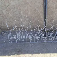 تولید انبوه  فروش و نصب حفاظ گوزنی و بوته ای|مصالح و تجهیزات ساختمان|بندرعباس, |دیوار