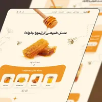 پشتیبان فنی وبسایت وردپرسی/کدنویسی