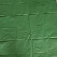 پرده سبز عکس و فیلمبرداری