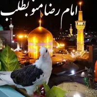 کاروان زیارتی مشهد