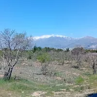 همنورد و همرکاب