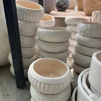 انواع گلدان بنسای|گل و گیاه طبیعی|کرج, فاز ۲ مهرشهر|دیوار