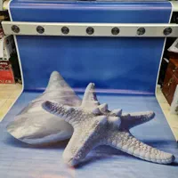 چاپ بنر تولد تسلیت مکه تراکت کارت ویزیت ملک شهر|خدمات رایانه‌ای و موبایل|اصفهان, ملک‌شهر|دیوار