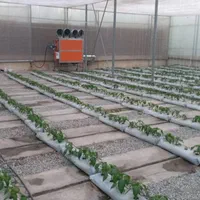 گلخانه از صفر تا صد|خدمات باغبانی و درختکاری|کرج, گوهردشت|دیوار