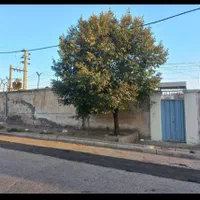 اجاره محوطه ۱۰۰۰متری دیوارکشی شده پشت دادگستری|اجارهٔ دفتر صنعتی، کشاورزی، تجاری|اشتهارد, |دیوار