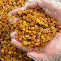 کشمش سایه خشک افتابی شیره انگور شیره خرما|خوردنی و آشامیدنی|تهران, شهرک شریعتی|دیوار
