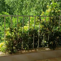 اجاره سوییت روزانه مبله لب آب