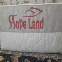 دو عدد تشک  نو نو