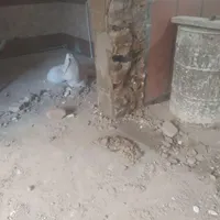 تخریب کاری پیکور