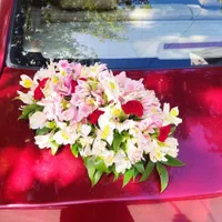 *تشریفات خدمات مراسم ازدواج آسان*|خدمات پذیرایی، مراسم|مشهد, گلبرگ شمالی|دیوار