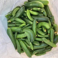 فروش عمده خیارشور تازه و خانگی|عمده‌فروشی|مشهد, هفت تیر (حافظ)|دیوار