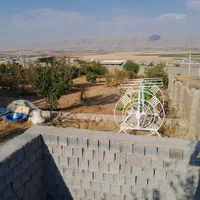 فروش باغ۱۰۰۰متری سیاخ دارنگون وباغ ۱۵۰۰متری|فروش زمین و ملک کلنگی|شیراز, میانرود|دیوار