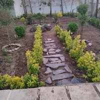 خدمات باغبانی باغچه کاری گلکاری تعویض خاک گلدون|خدمات باغبانی و درختکاری|تهران, میرداماد|دیوار