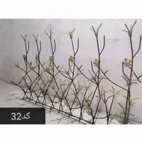 حفاظ شاخگوزنی فراهانی.شاخ گوزنی.حفاظ.دزدگیر.نرده