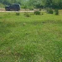 زمین / مسکونی /  ویلایی / ۱۴۳۰ متری /  چماچاه