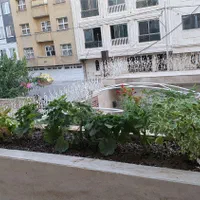 تعویض خاک،رسیدگی،نگهداری،بازدید،کاشت|خدمات باغبانی و درختکاری|مشهد, سجاد شهر|دیوار