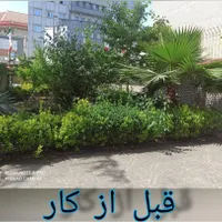 علف زدن زمین با دستگاه|خدمات باغبانی و درختکاری|رشت, دیانتی|دیوار