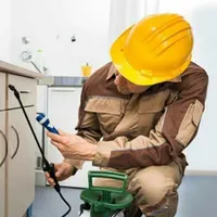 سمپاشی موریانه زدایی سوسک ساس ضمانتی موش سم‌پاشی