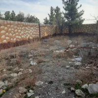 فروش زمین ۲۵۰ در ۱۰متر حاشیه چاهشک معاوضه با ماشین|فروش زمین و ملک کلنگی|مشهد, الهیه|دیوار