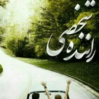 ماشین دربستی،تاکسی دربستی،اجاره خودرو،مشهد،شمال|خدمات حمل و نقل|شیراز, حافظیه|دیوار