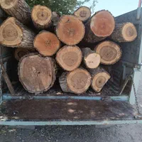 خرید وفروش انواع چوب وقطع وهرس درختان|خدمات باغبانی و درختکاری|مشهد, خواجه ربیع|دیوار