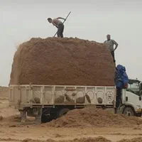 باگاس نیشکر کاه نیشکر جایگزین کاه گندم،. بصرفه