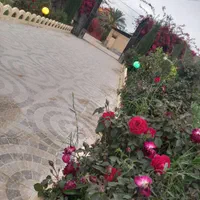 اجاره روزانه/هفتگی/ماهانه ویلا ۱۰۰۰ متری|اجارهٔ کوتاه‌مدت ویلا و باغ|بهبهان, |دیوار