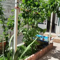 اجاره سوئیت شیک و تمیز۵۰ و ۸۵ متری|اجارهٔ کوتاه‌مدت آپارتمان و سوئیت|قزوین, |دیوار